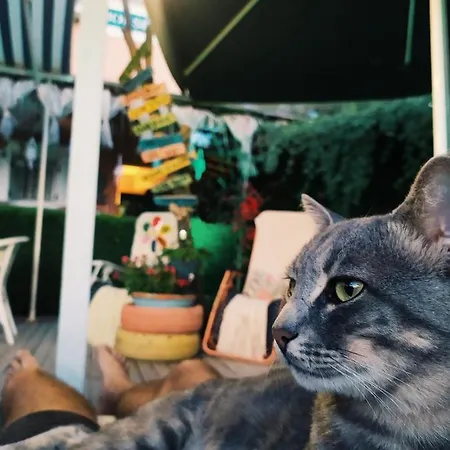 House Butik Hotel Izmir