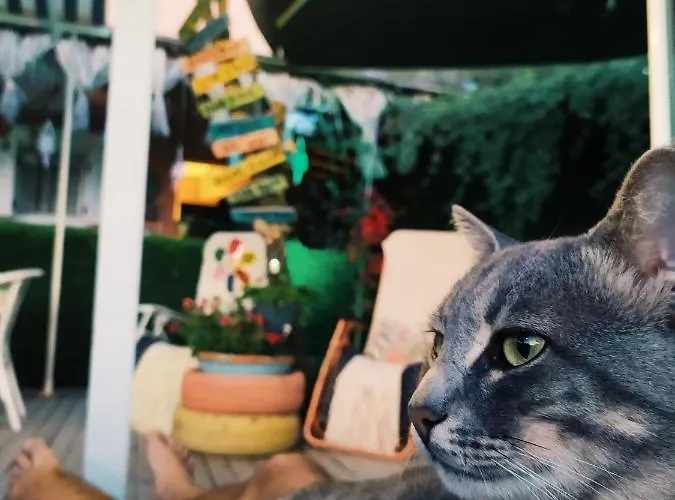 House Butik Hotel İzmir