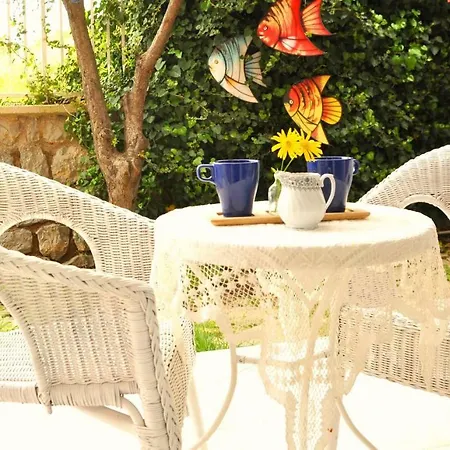 House Butik Hotel 4*